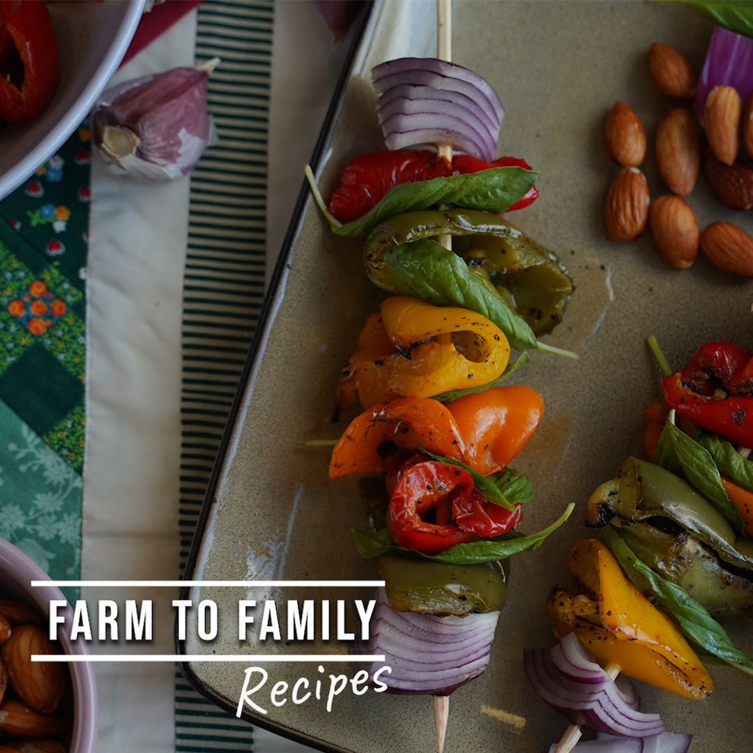 A shish kebab with onions and different-colored peppers.